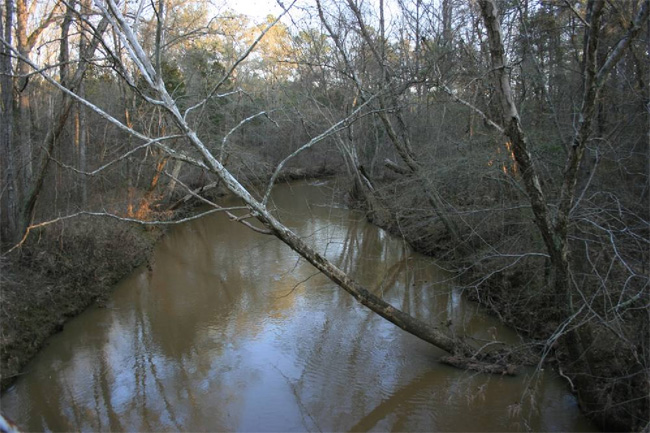 Long Cane Creek