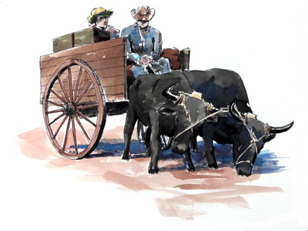 Ox Cart in Texas
